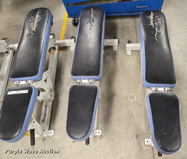 image for item EQ3720 (4) Magnum Fitness System benches