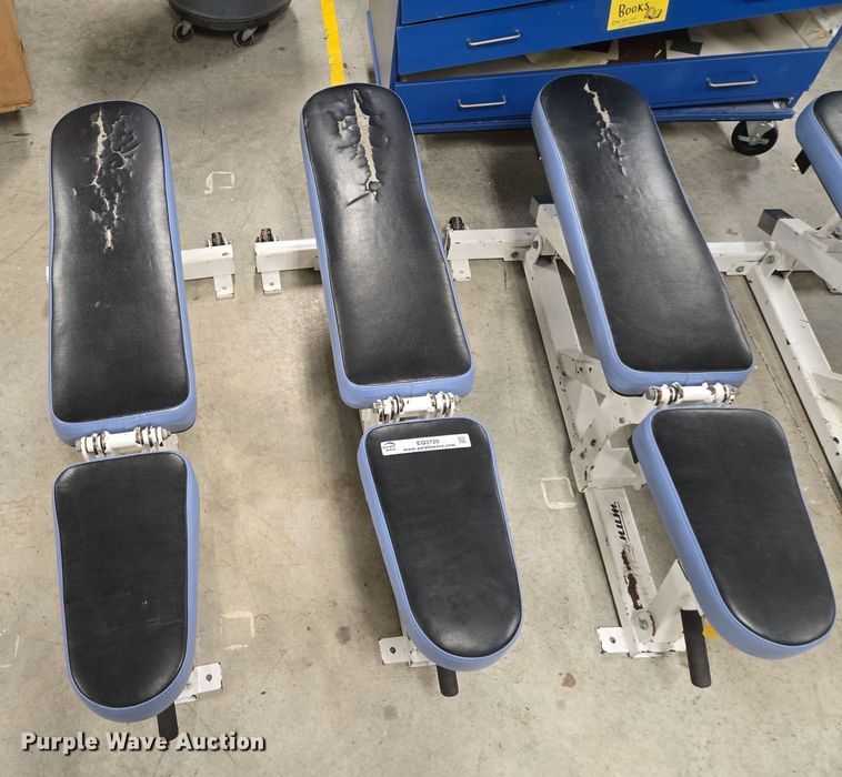 image for item EQ3720 (4) Magnum Fitness System benches