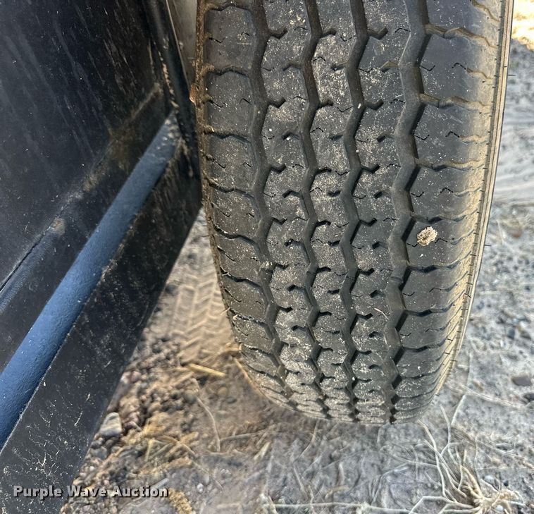 image for item DQ3166 2007 Reyes livestock trailer