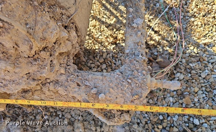 image for item DV0100 Conveyor