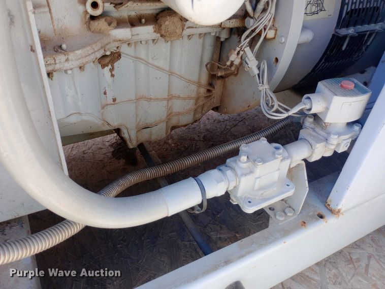 image for item DW0977 Spectrum 20GS generator