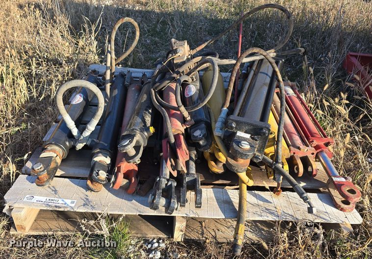 image for item LX9012 (13) hydraulic cylinders