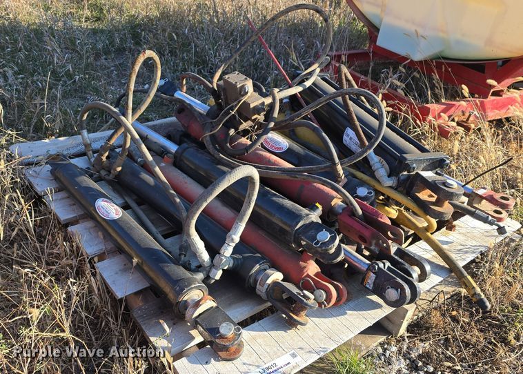 image for item LX9012 (13) hydraulic cylinders