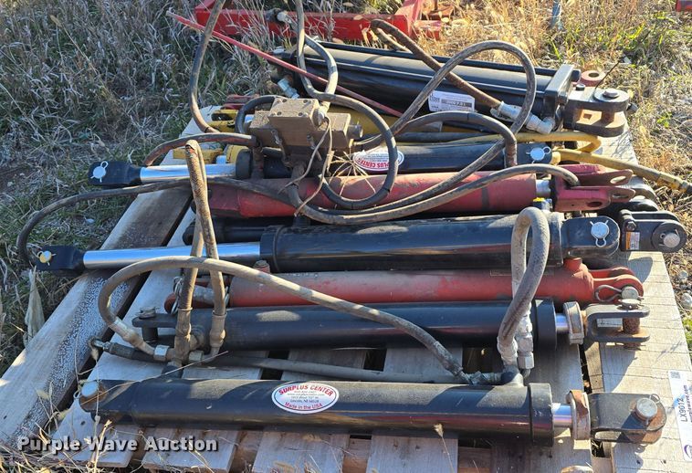 image for item LX9012 (13) hydraulic cylinders