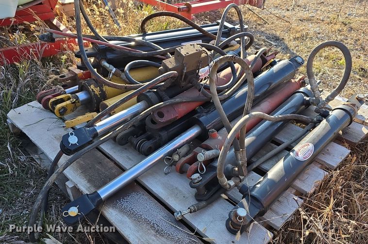 image for item LX9012 (13) hydraulic cylinders