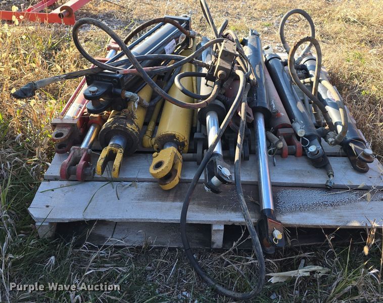 image for item LX9012 (13) hydraulic cylinders