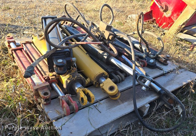 image for item LX9012 (13) hydraulic cylinders