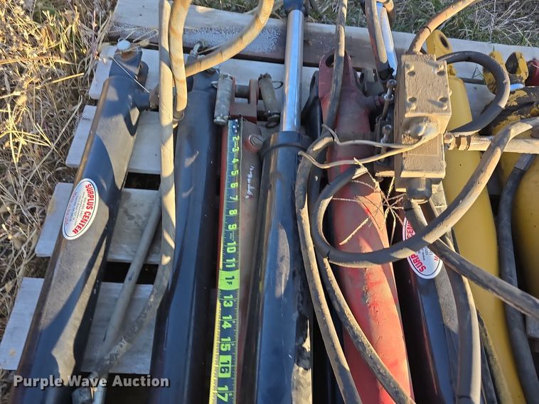 image for item LX9012 (13) hydraulic cylinders