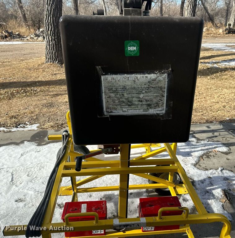 image for item ER5109 (2) light plants