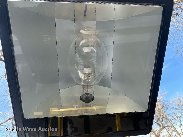 image for item ER5109 (2) light plants