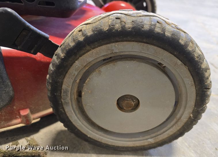 image for item EH8531 Lawn and garden equipment