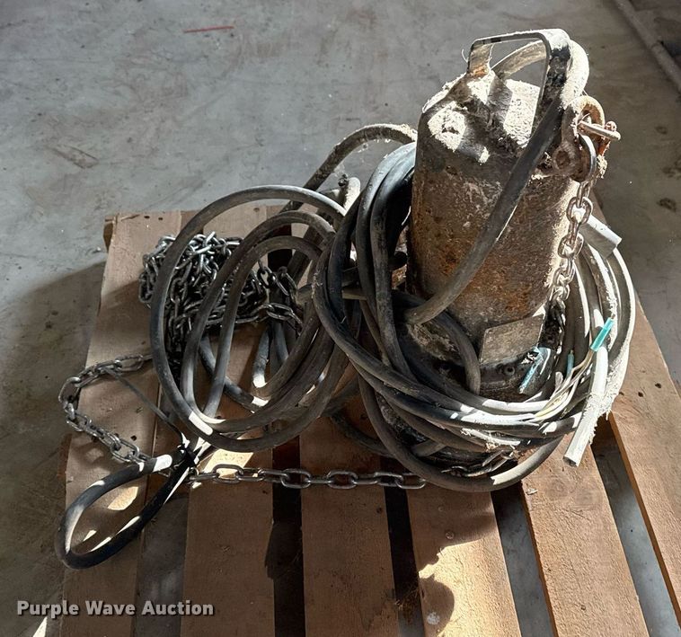 image for item EG8004 (3) trash pumps