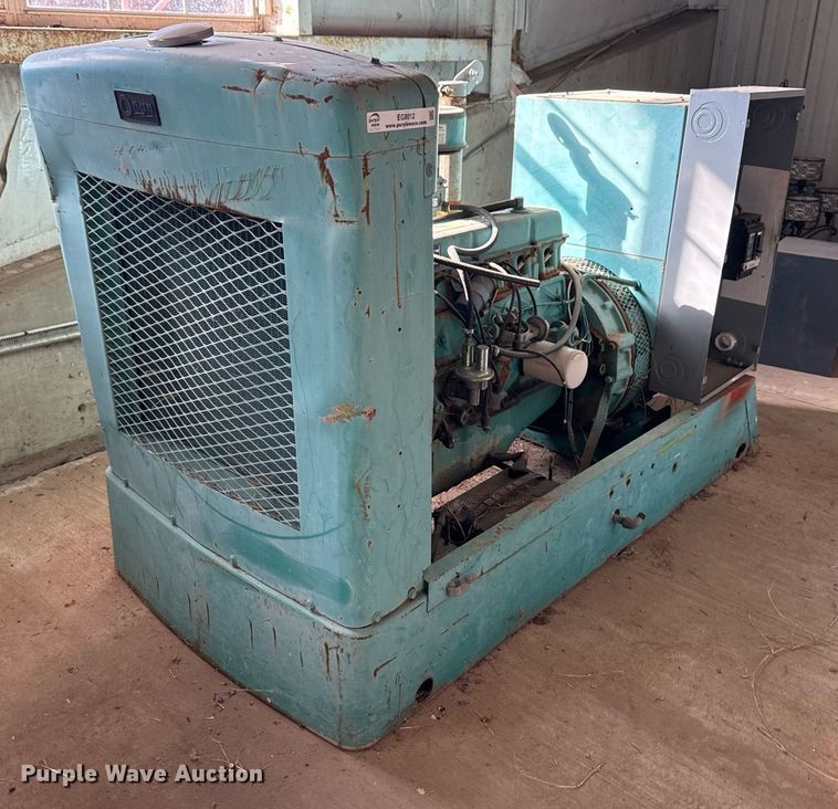 image for item EG8012 Onan 30EK generator