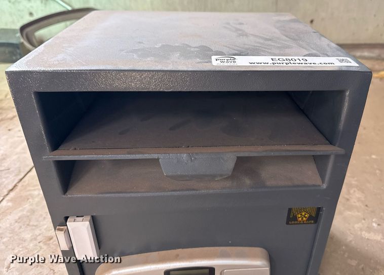 image for item EG8019 Paragon safe