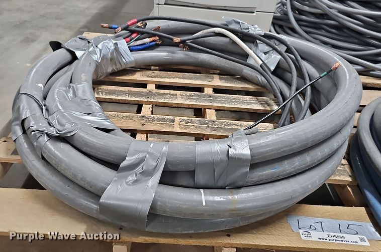 image for item EH8589 Roll of 2