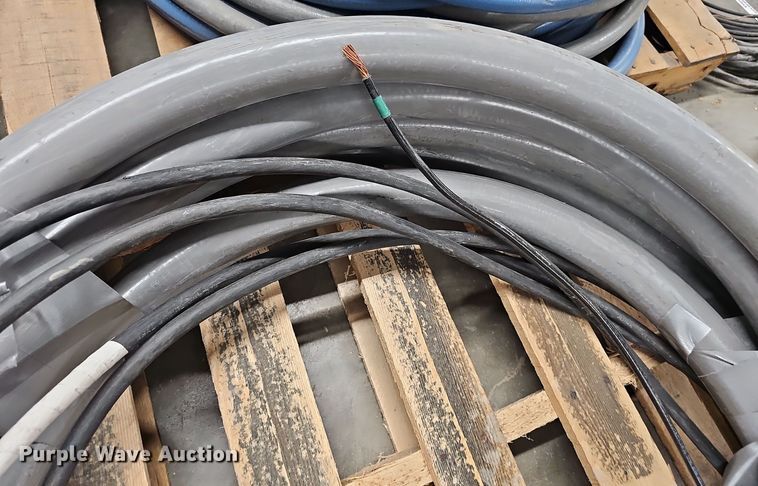 image for item EH8589 Roll of 2