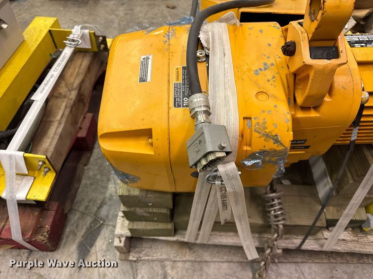 image for item DH9827 Harrington Hoist and Cranes ERIA-556732 crane