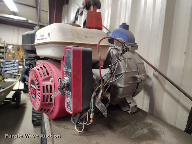 image for item EH0164 (2) pumps