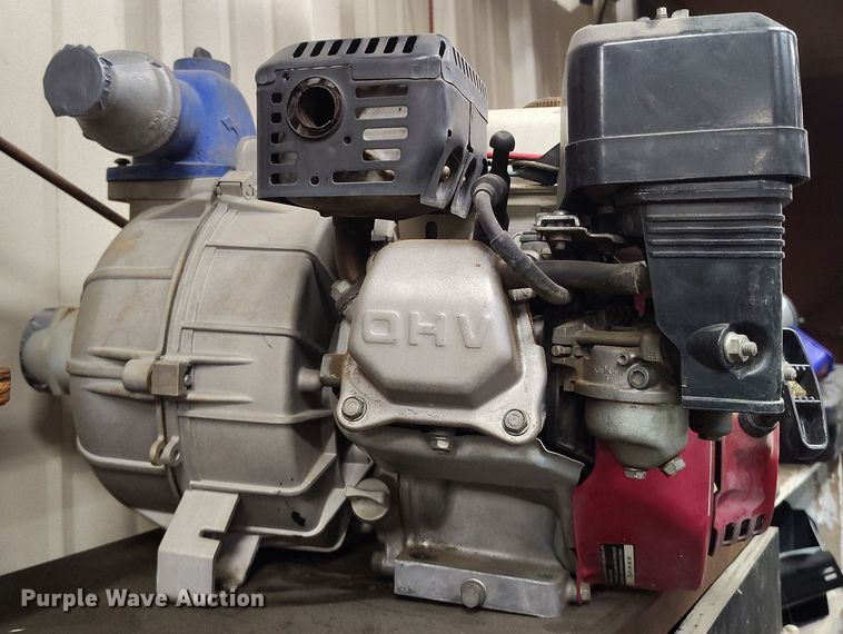 image for item EH0164 (2) pumps