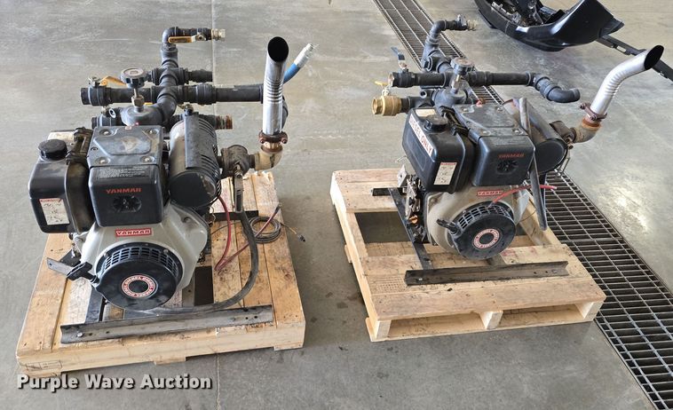 image for item EH8673 (2) Darley pumps