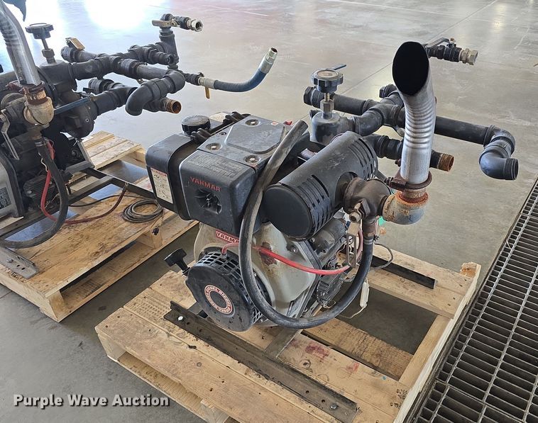 image for item EH8673 (2) Darley pumps