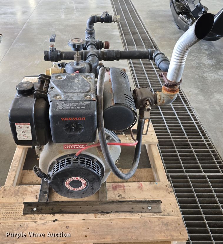 image for item EH8673 (2) Darley pumps