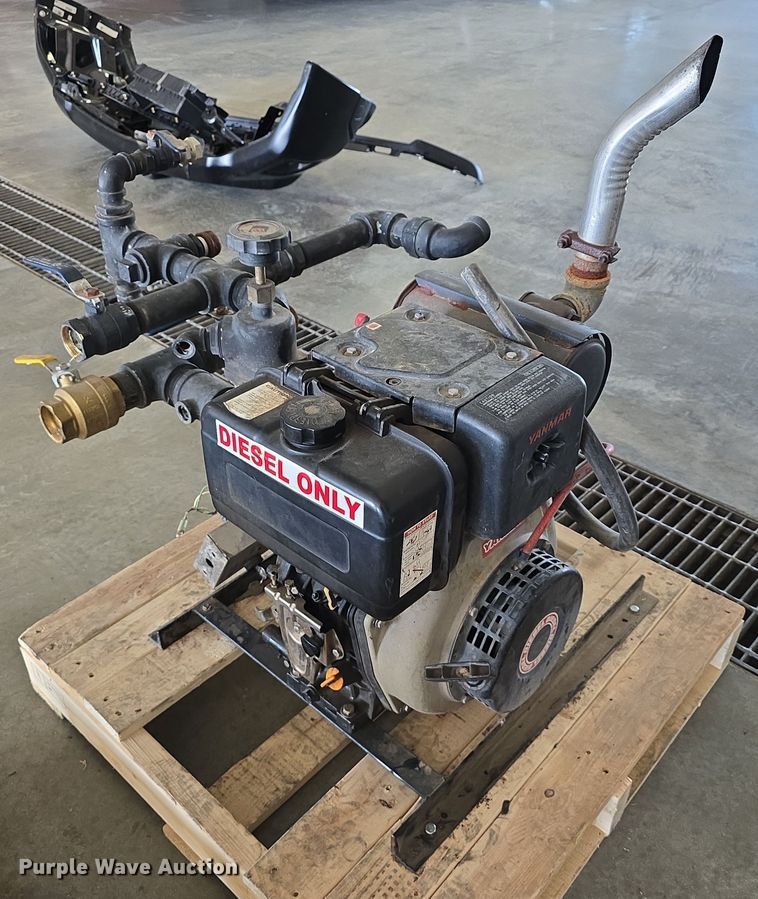 image for item EH8673 (2) Darley pumps