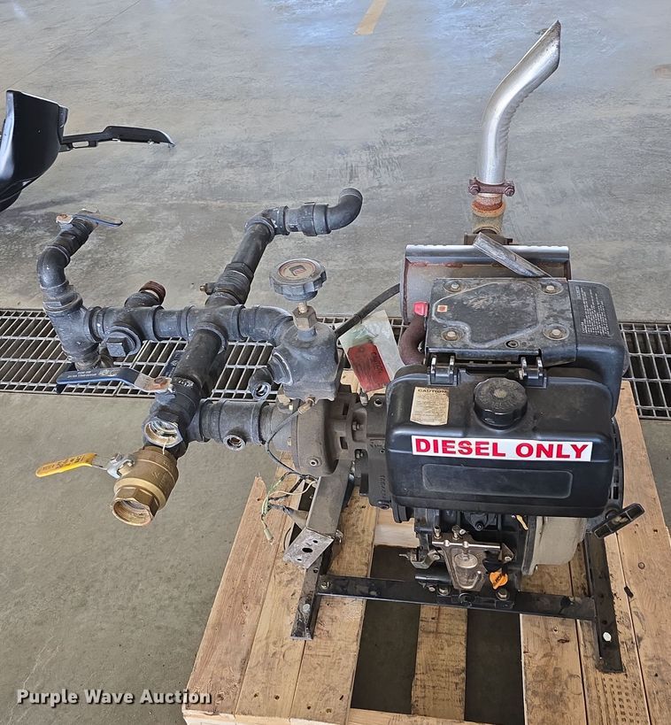 image for item EH8673 (2) Darley pumps