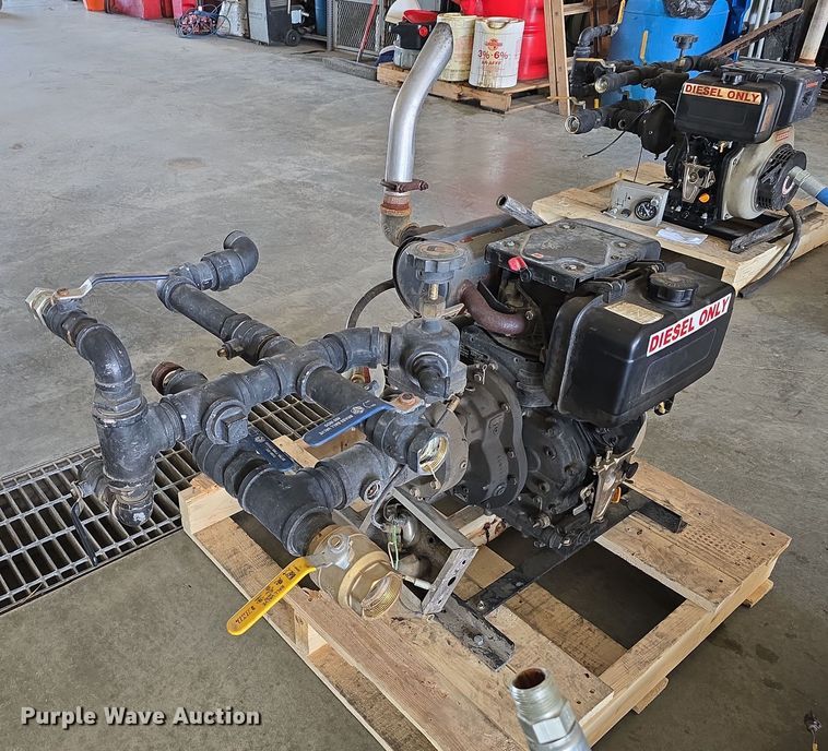 image for item EH8673 (2) Darley pumps