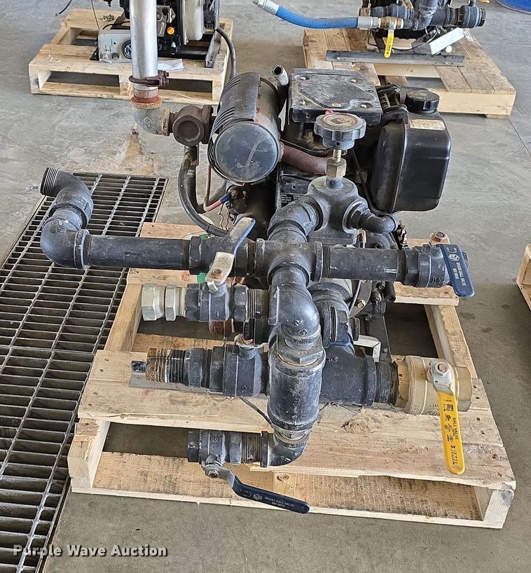 image for item EH8673 (2) Darley pumps