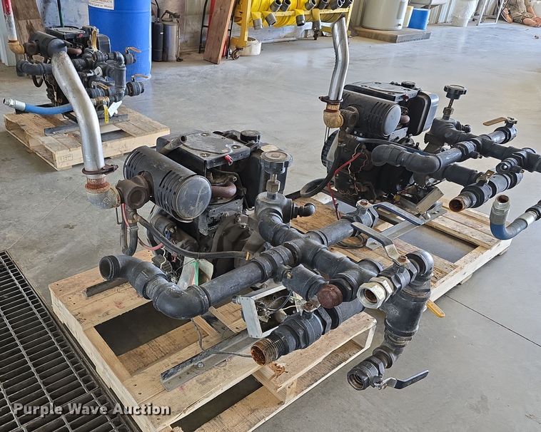 image for item EH8673 (2) Darley pumps