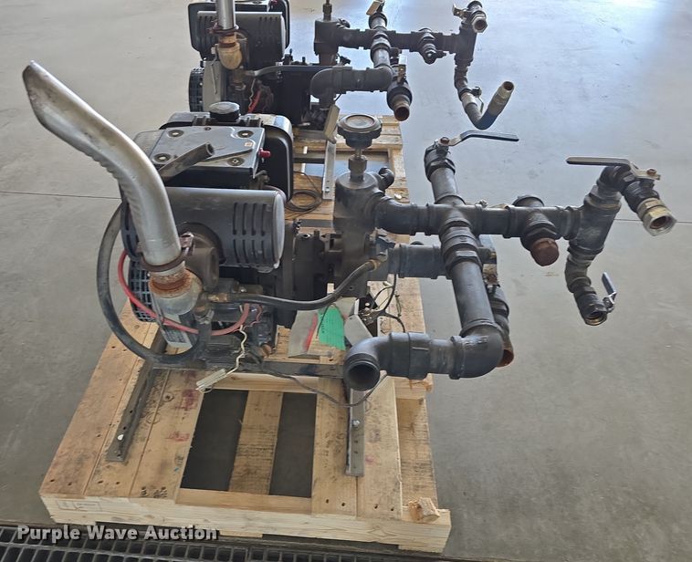 image for item EH8673 (2) Darley pumps