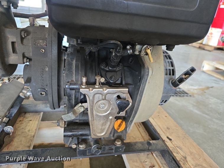 image for item EH8673 (2) Darley pumps