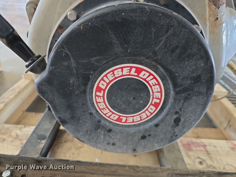 image for item EH8673 (2) Darley pumps