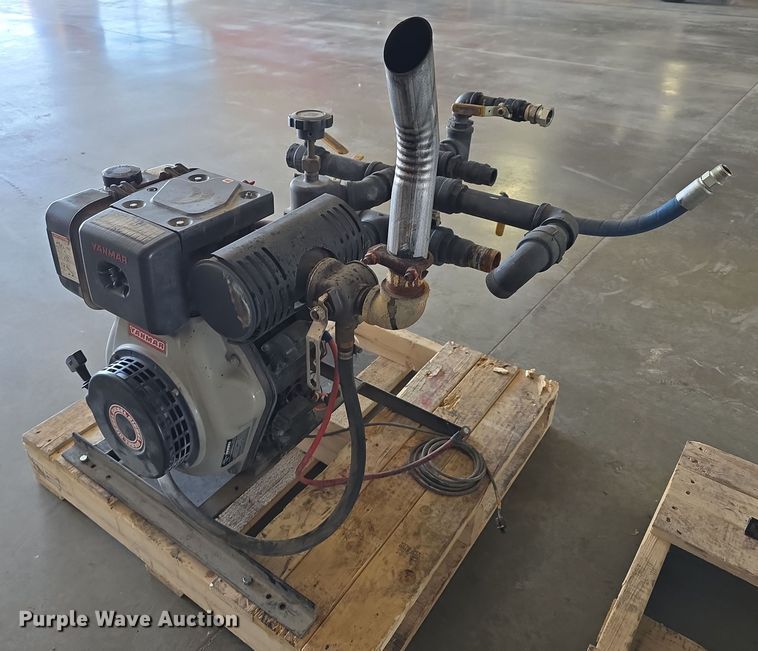 image for item EH8673 (2) Darley pumps