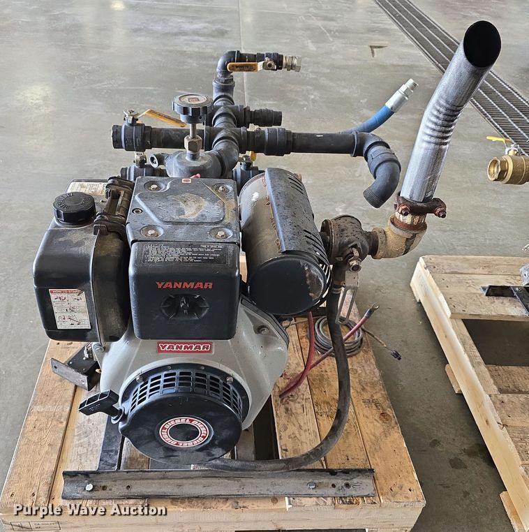 image for item EH8673 (2) Darley pumps