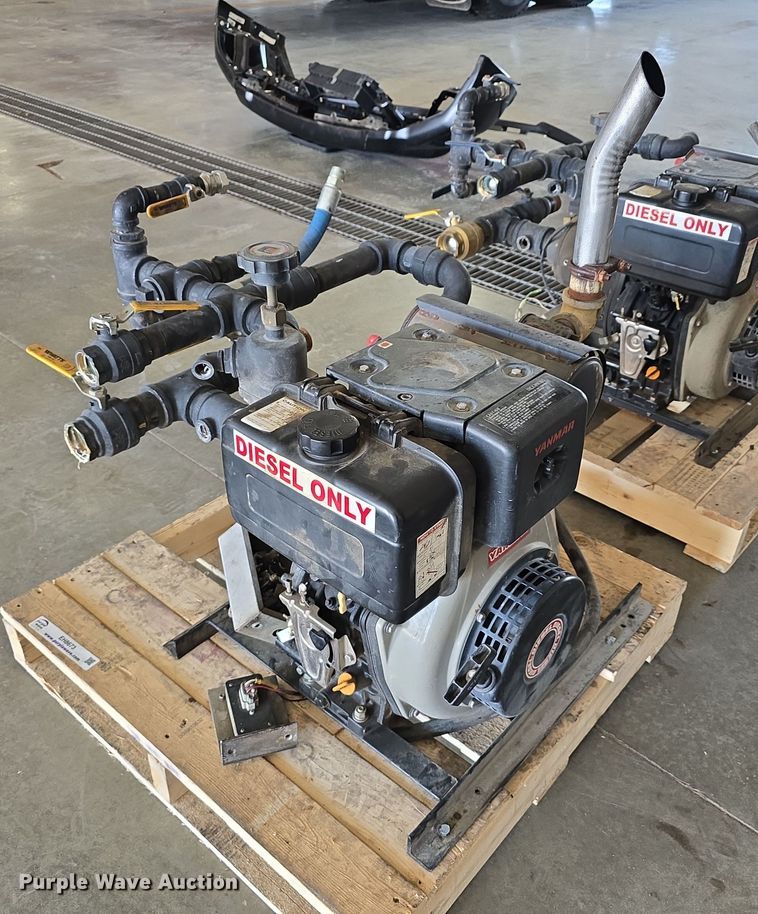 image for item EH8673 (2) Darley pumps