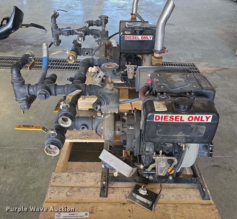 image for item EH8673 (2) Darley pumps