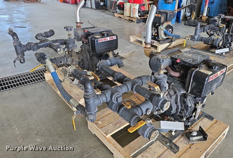 image for item EH8673 (2) Darley pumps