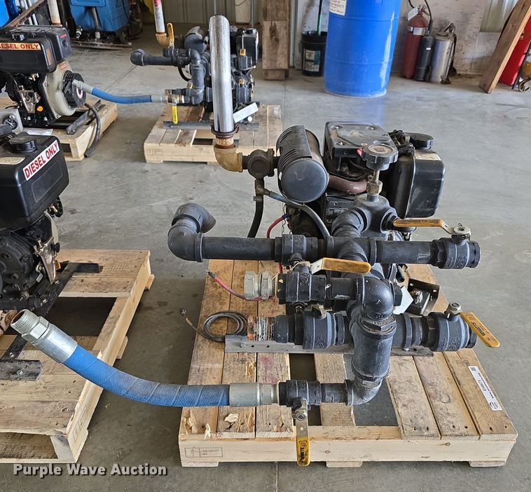 image for item EH8673 (2) Darley pumps