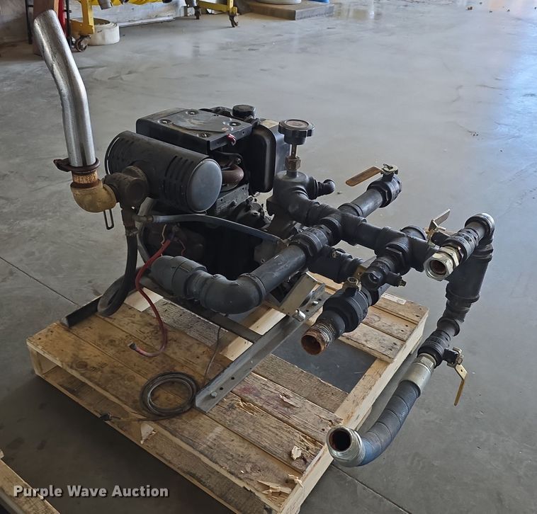 image for item EH8673 (2) Darley pumps