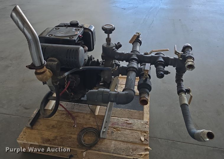 image for item EH8673 (2) Darley pumps