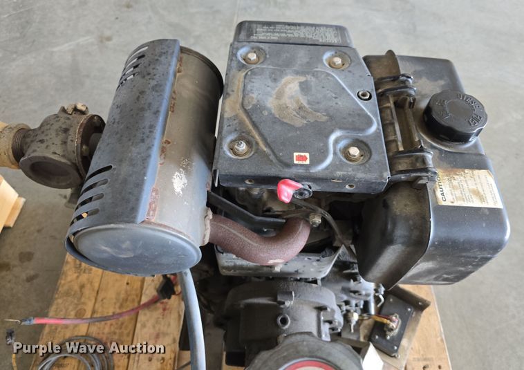 image for item EH8673 (2) Darley pumps