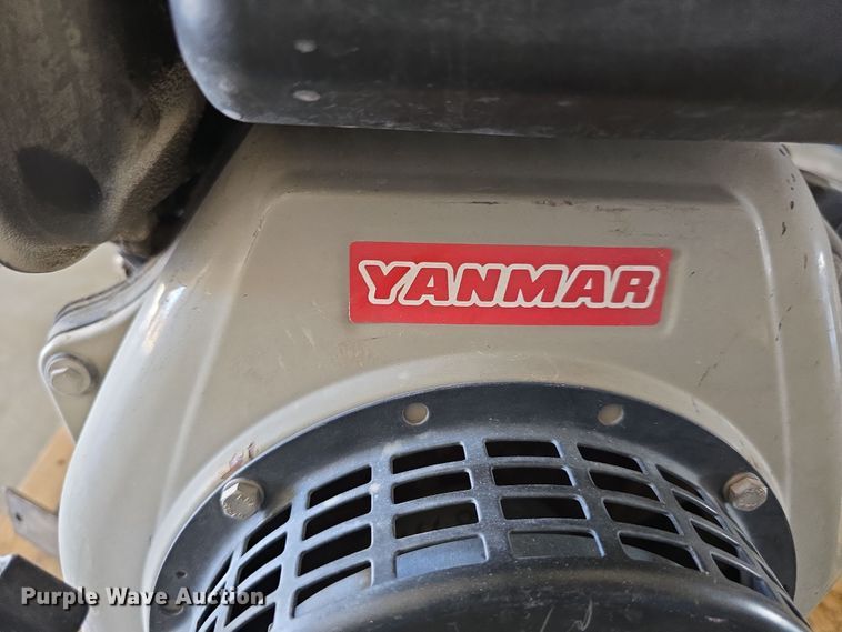 image for item EH8673 (2) Darley pumps