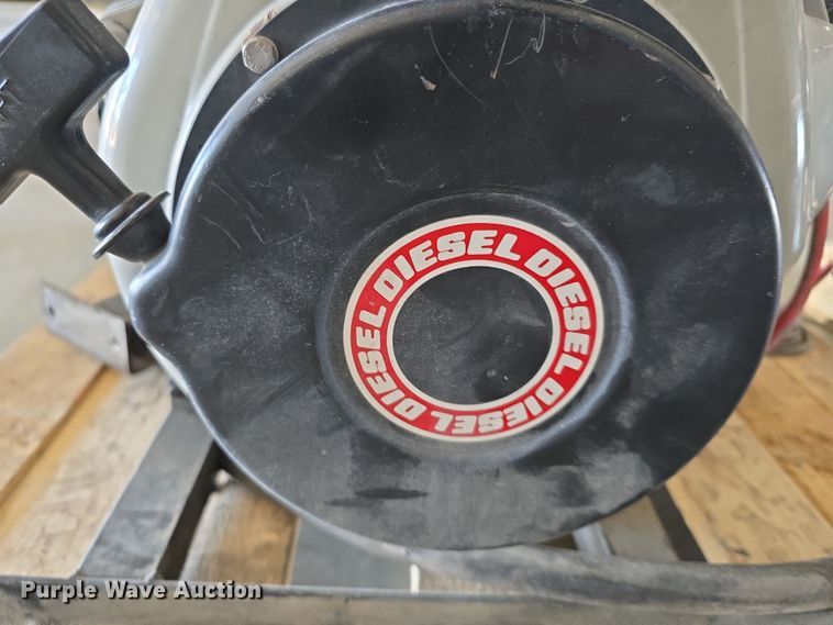 image for item EH8673 (2) Darley pumps