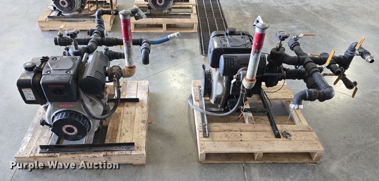 image for item EH8674 (2) Darley pumps