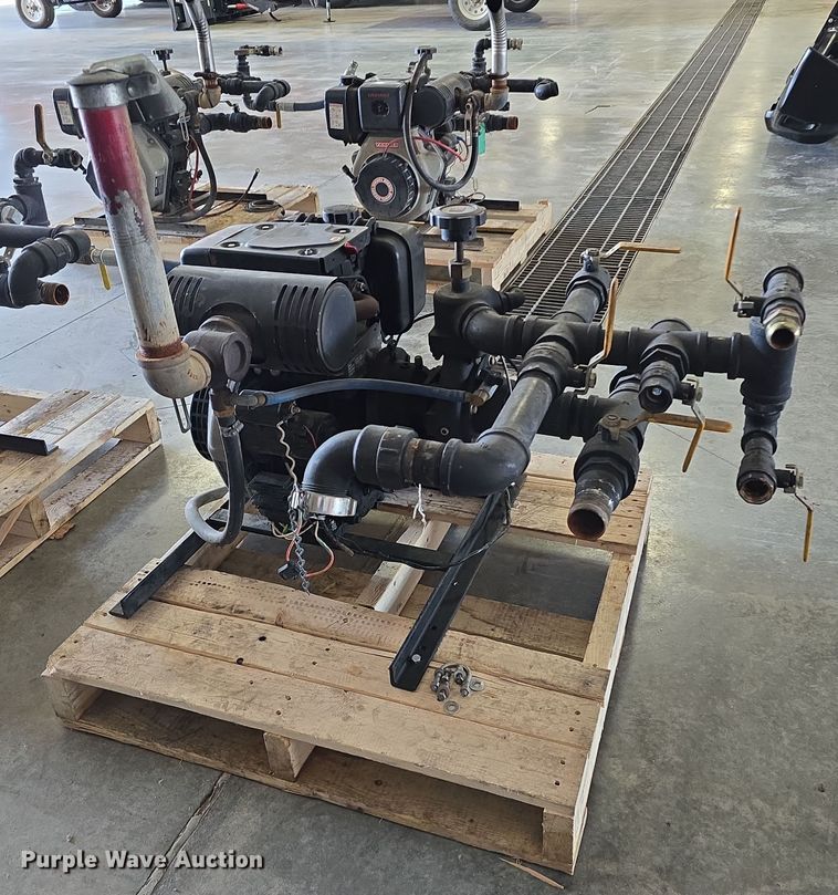 image for item EH8674 (2) Darley pumps