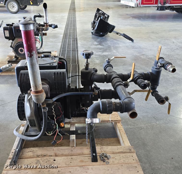 image for item EH8674 (2) Darley pumps