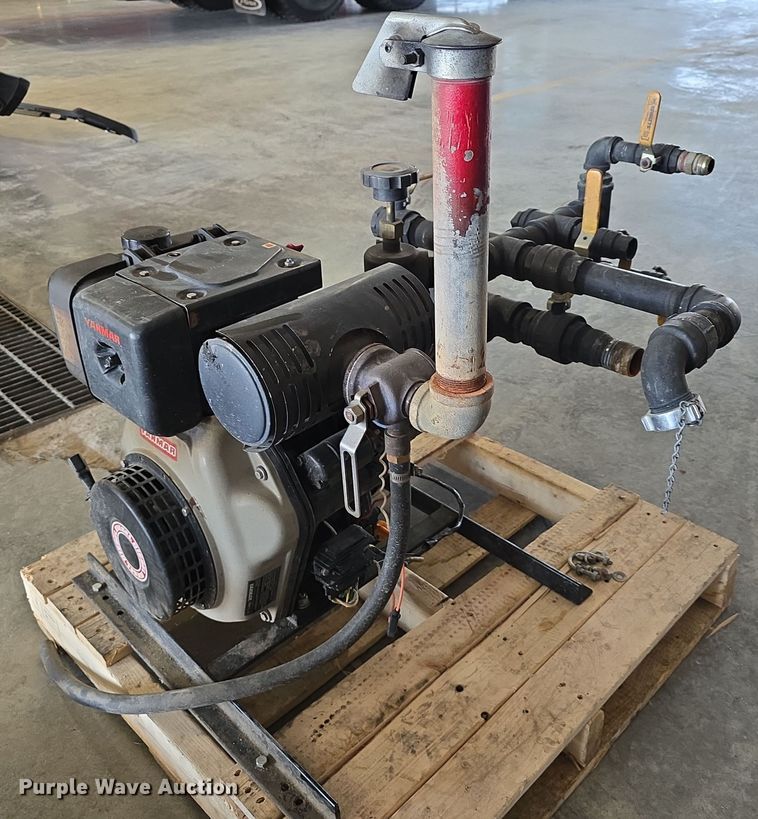 image for item EH8674 (2) Darley pumps