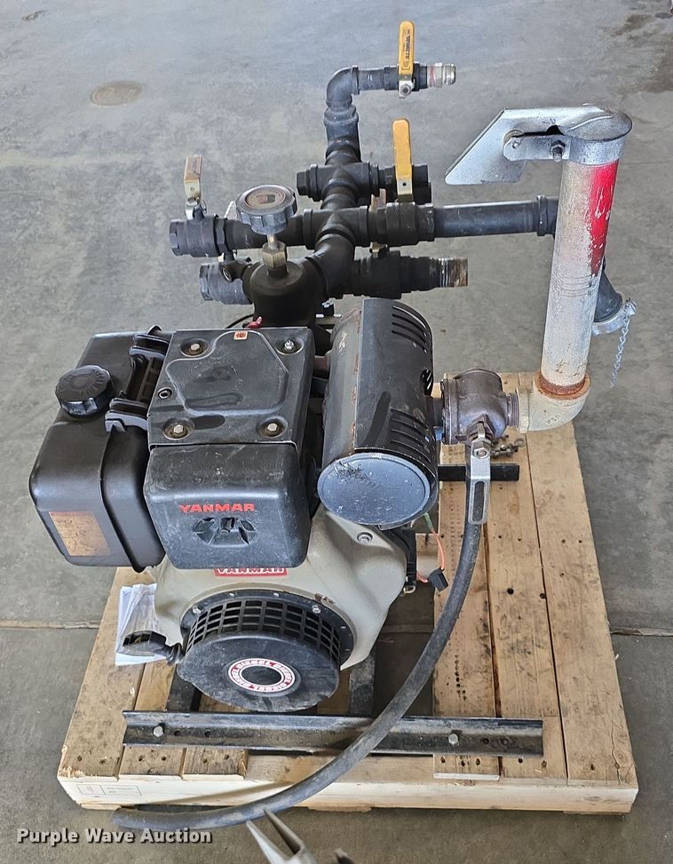 image for item EH8674 (2) Darley pumps